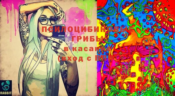 первитин Армянск