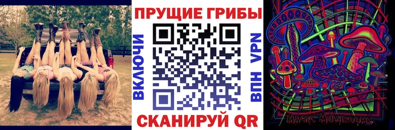 Псилоцибиновые грибы прущие грибы  Нязепетровск 